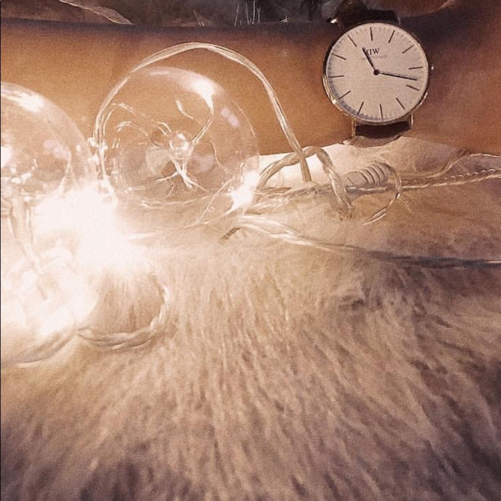 Danielle Wellington watch